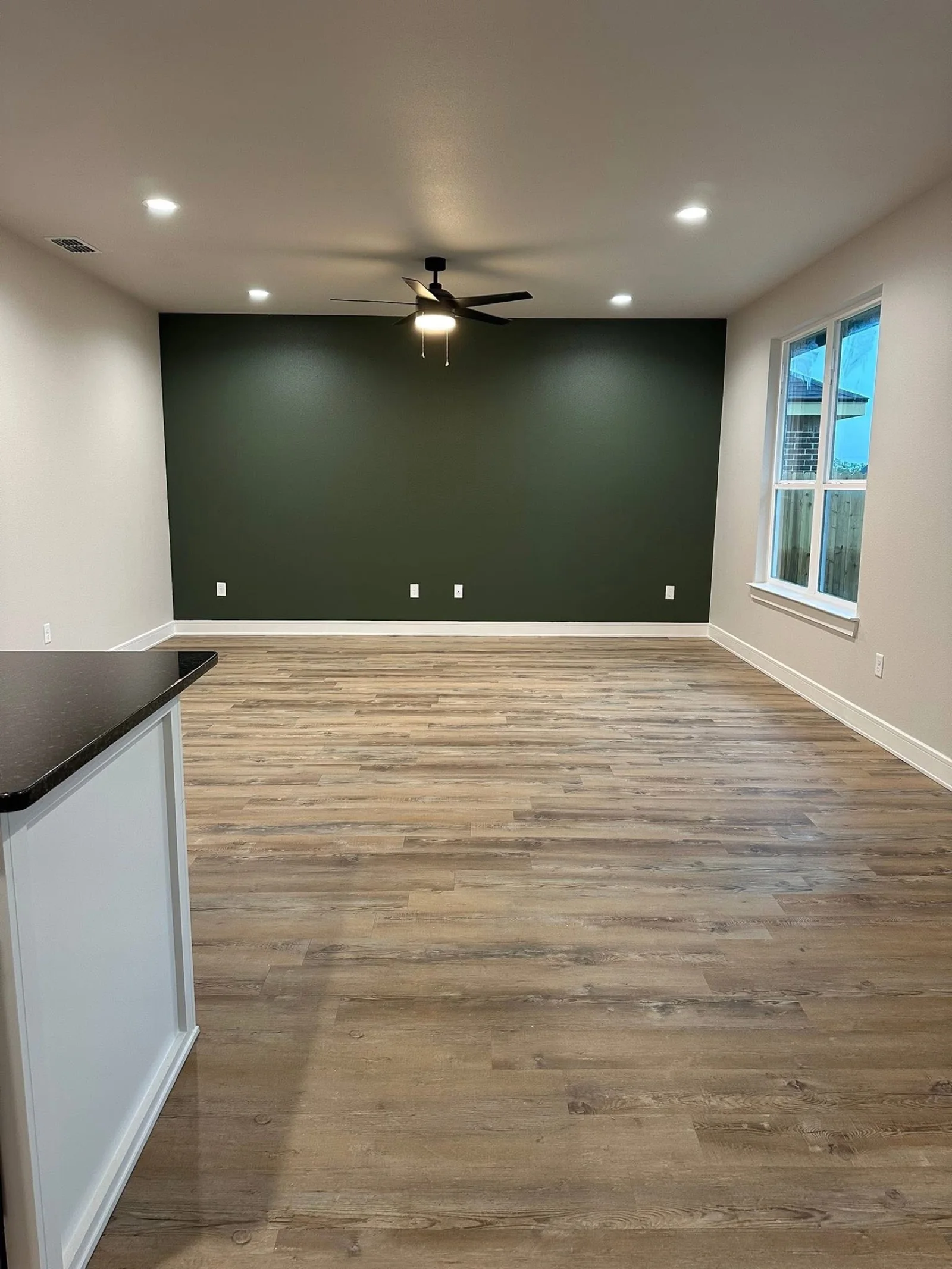 Living room with green accent wall